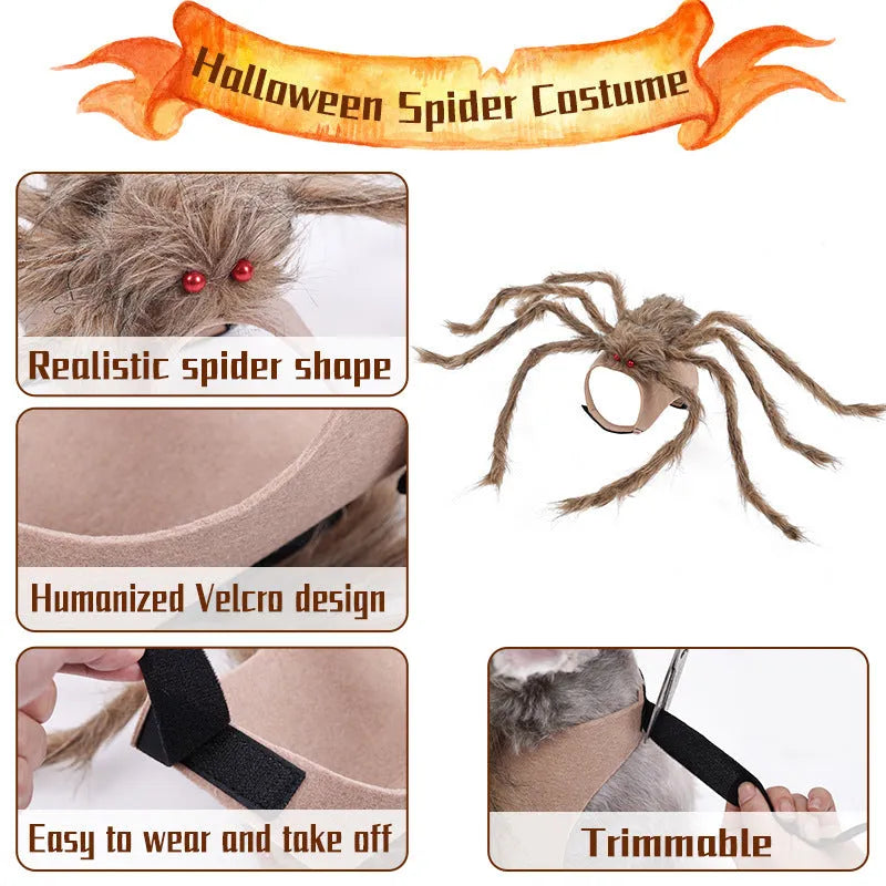 Big spider Halloween costume for pets in polyester fabric with multiple colour options