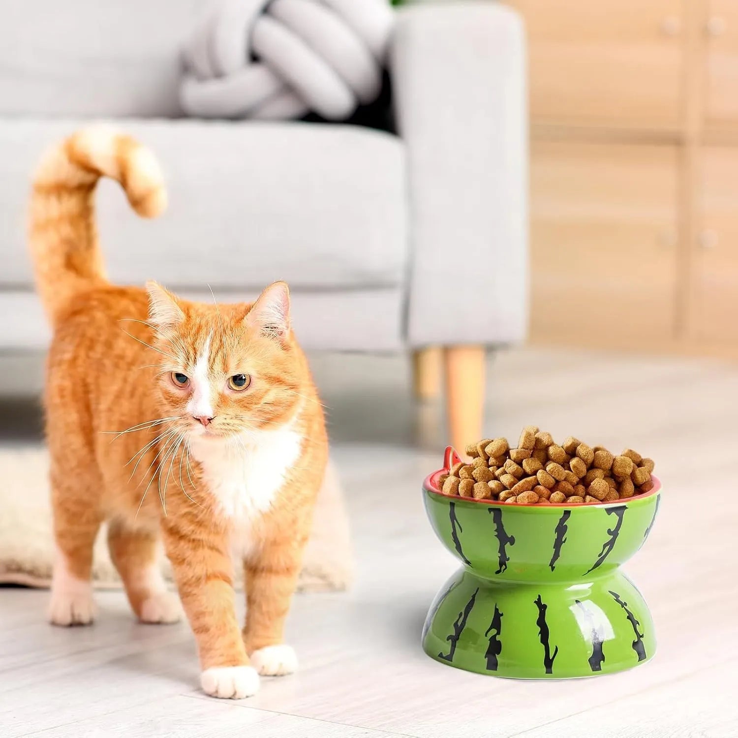 Ceramic raised cat bowl in orange with tilted design for food and water