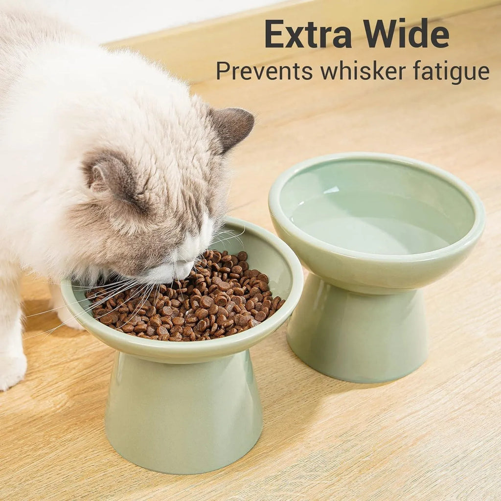 White ceramic elevated cat bowl with wide shallow dish on wooden floor