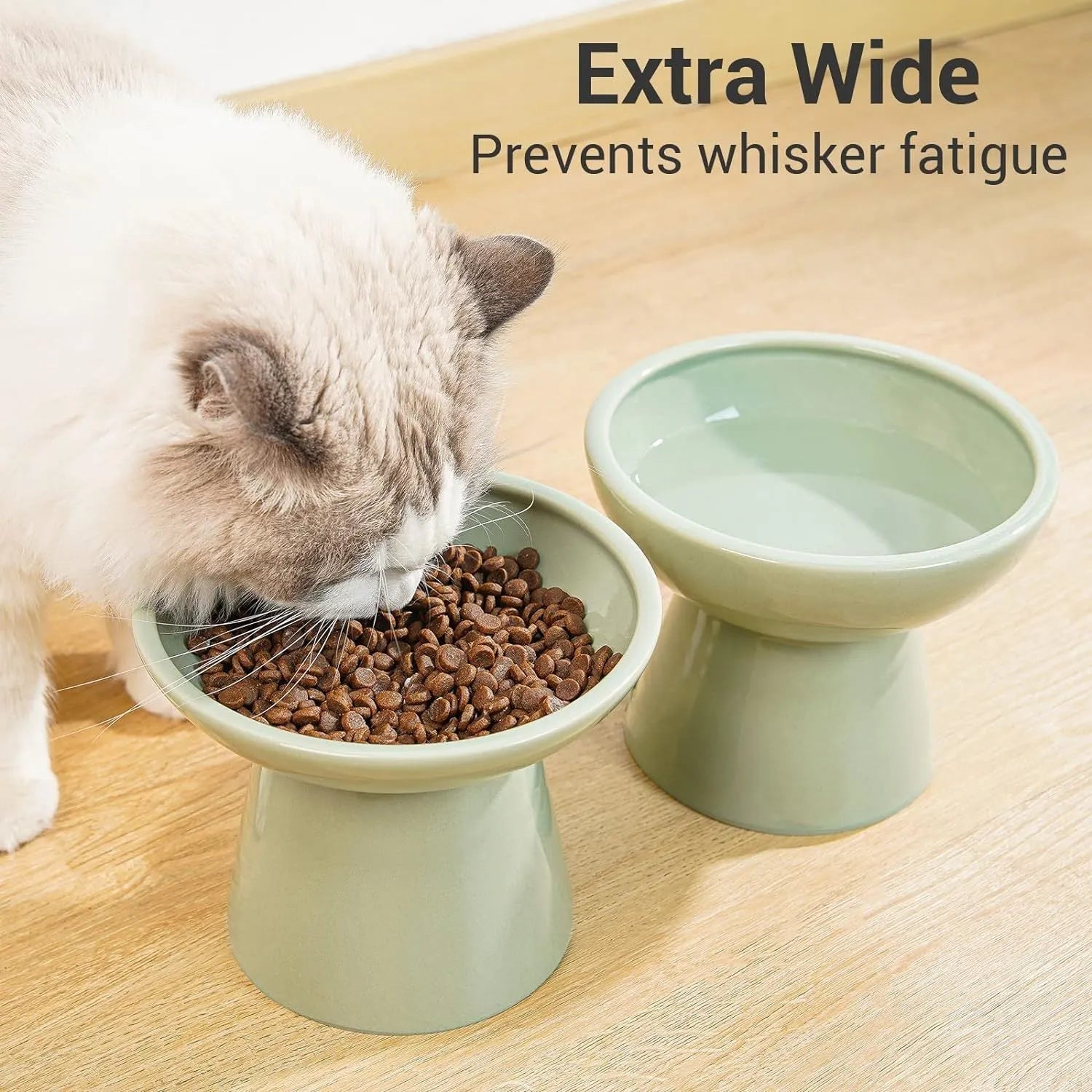 White ceramic elevated cat bowl with wide shallow dish on wooden floor