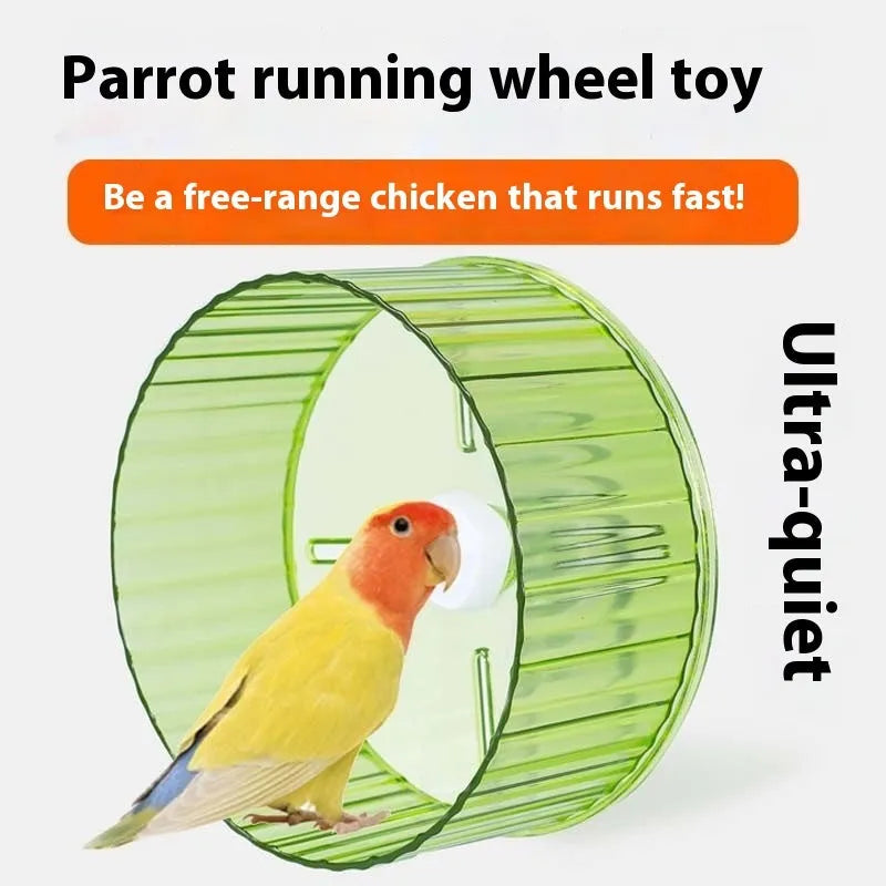 21cm transparent plastic parrot running wheel toy for bird exercise and cage enrichment