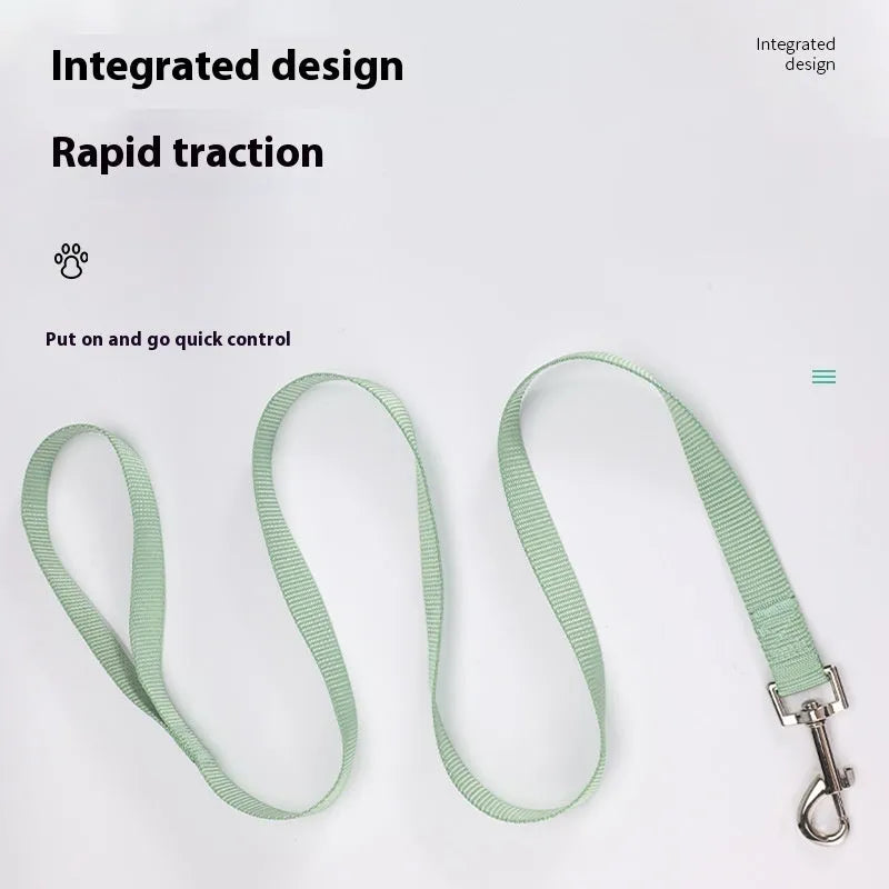 Solid colour polyester dog lead rope held in a hand, showing four different thickness options on a white background.