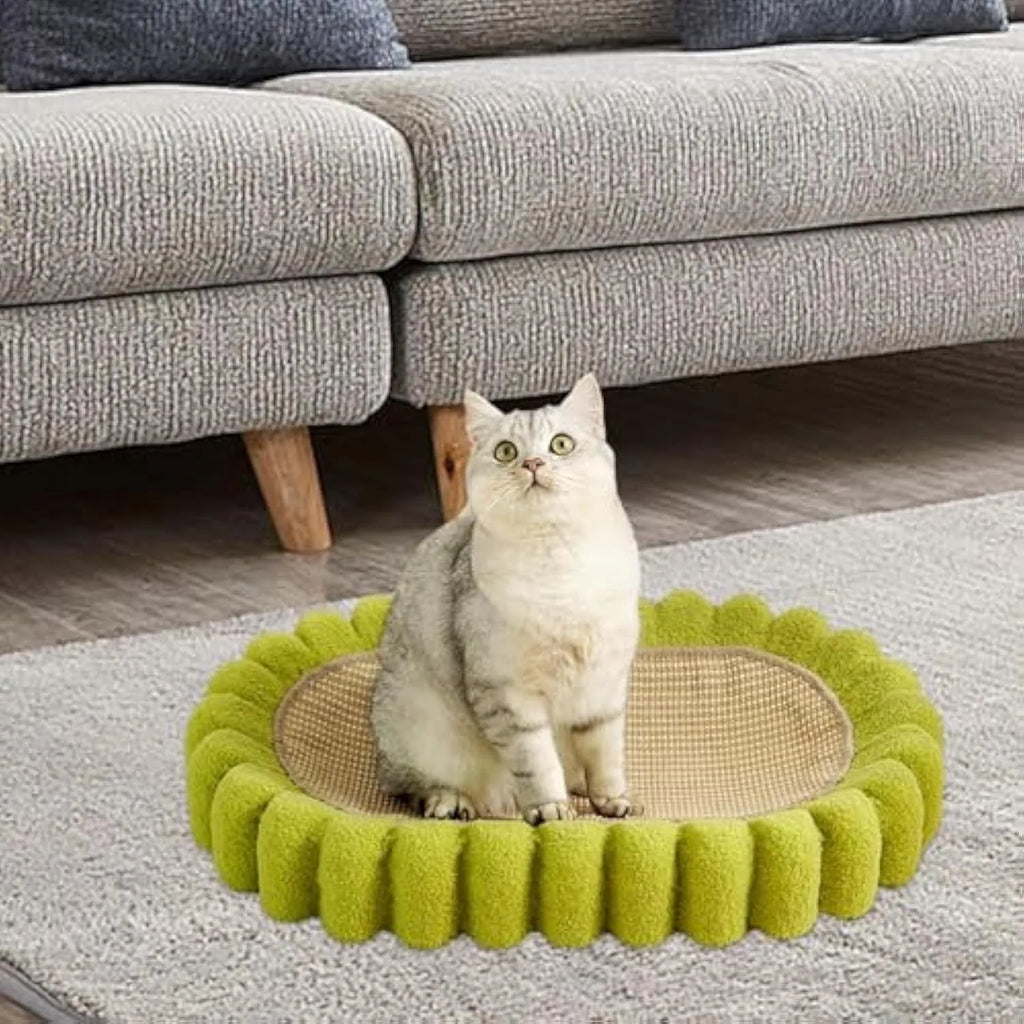 Green oval cat scratch pad bowl made from sisal measuring 650x420x100mm