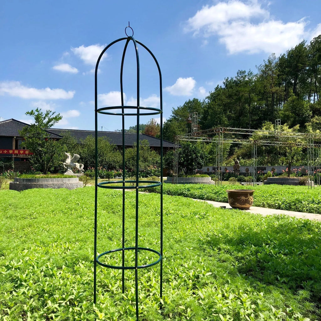 Dark green wrought iron plant climbing frame with lattice design for indoor climbing plants