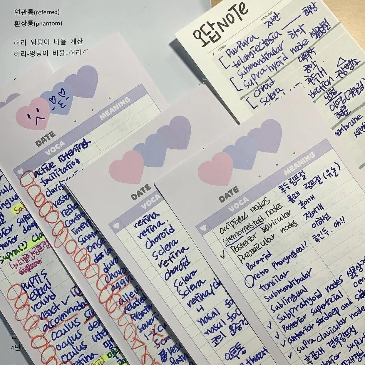 Blue B5 half-size vertical notepad with 30 pages for English words and double-sided notes.