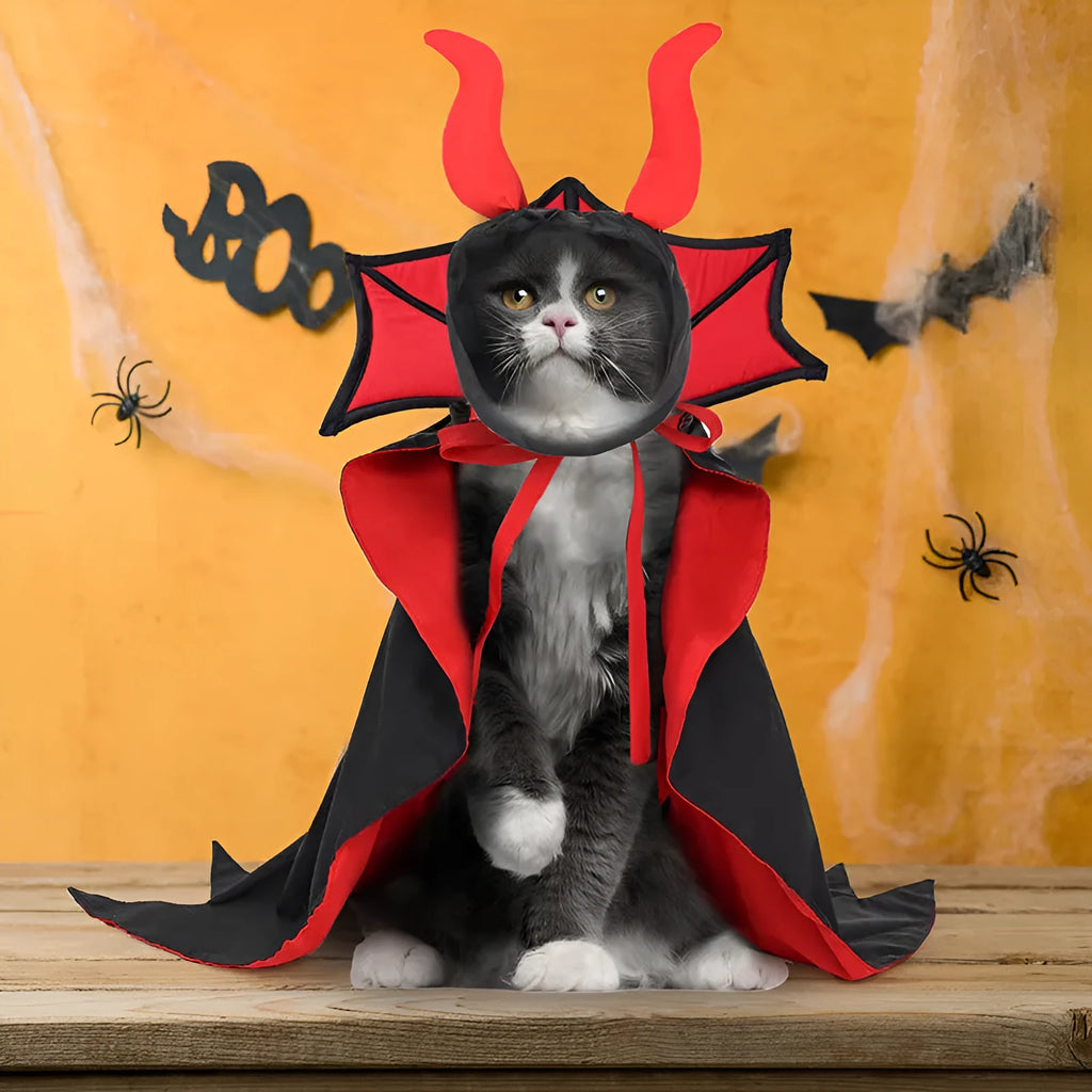 Black polyester pet vampire cloak and hat Halloween costume set shown on pet