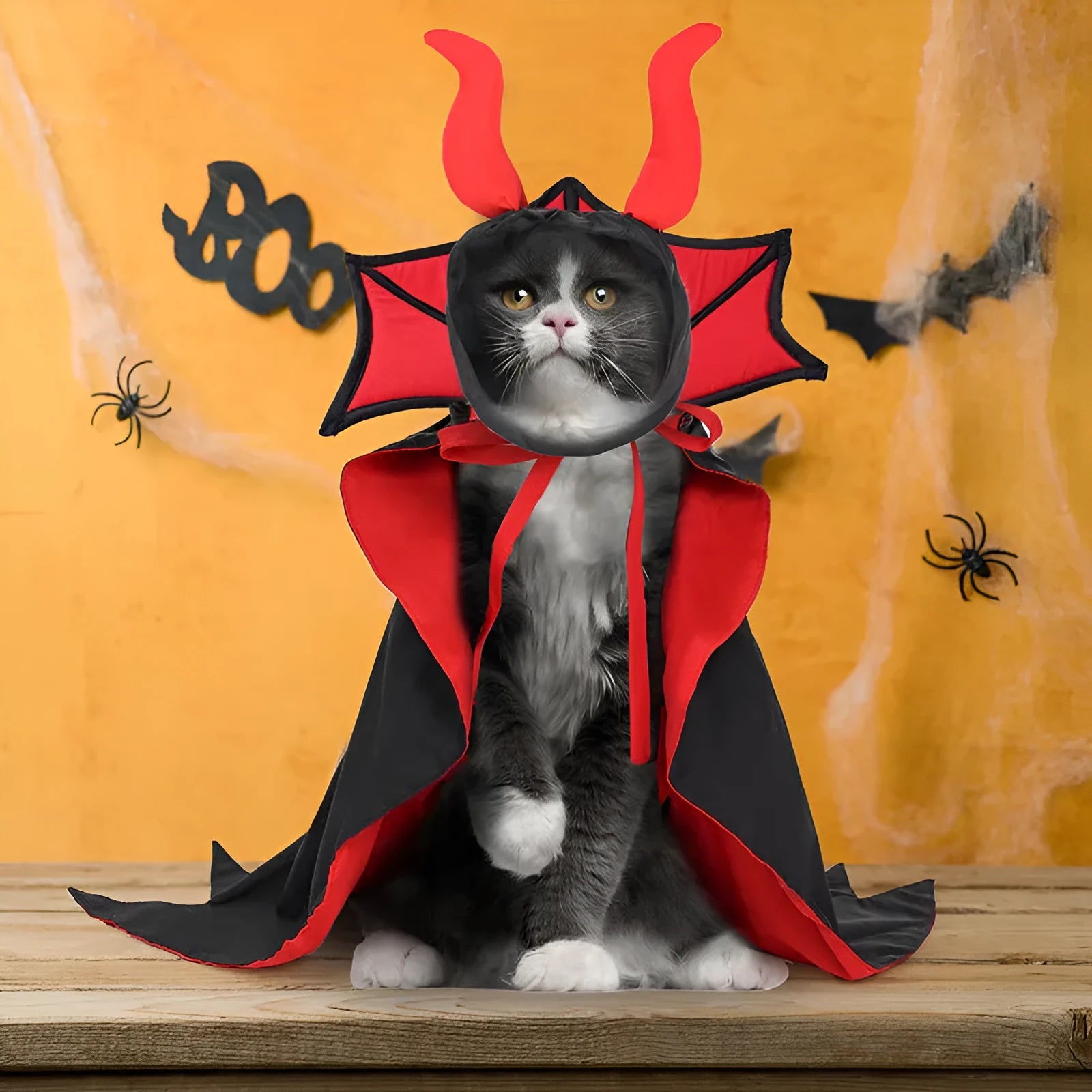 Black polyester pet vampire cloak and hat Halloween costume set shown on pet
