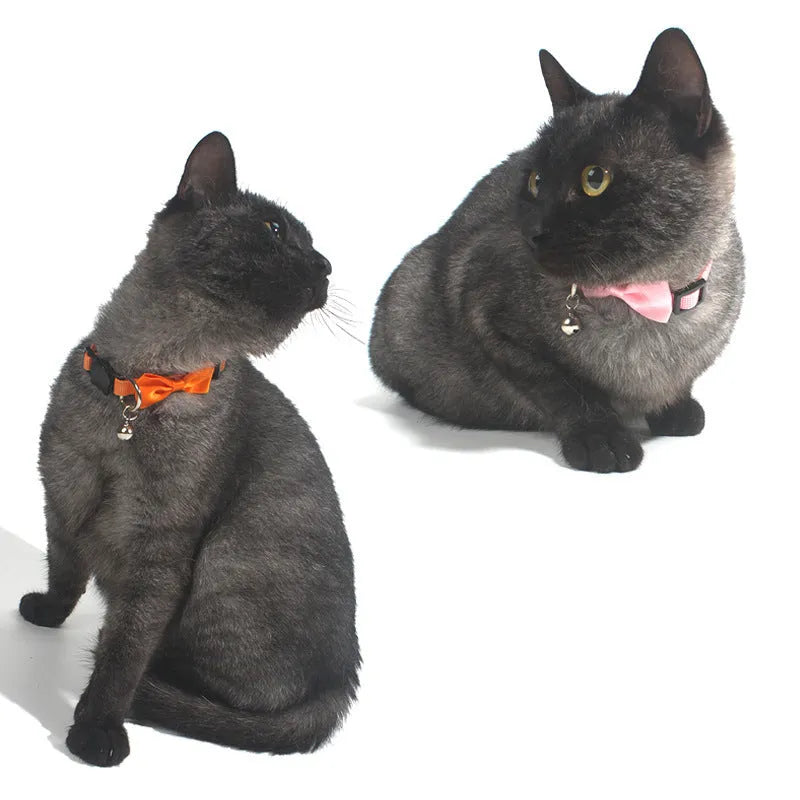 Striped adjustable bow tie cat collar with bell in multiple colour options on nylon ribbon