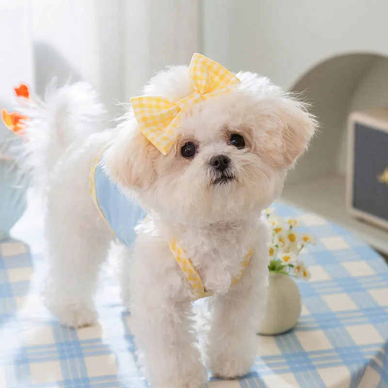 Small dog wearing elastic vest with heart texture and bow suspenders in Bondi Blue colour