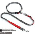 Outdoor running dog leash with elastic night reflective filament sling in multiple colour combinations