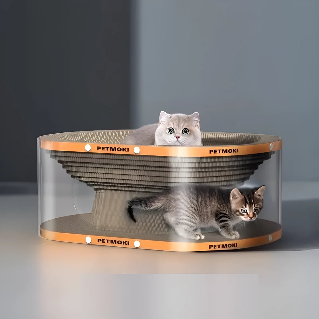 White transparent cat scratch board and nest tunnel toy made from PVC and corrugated board