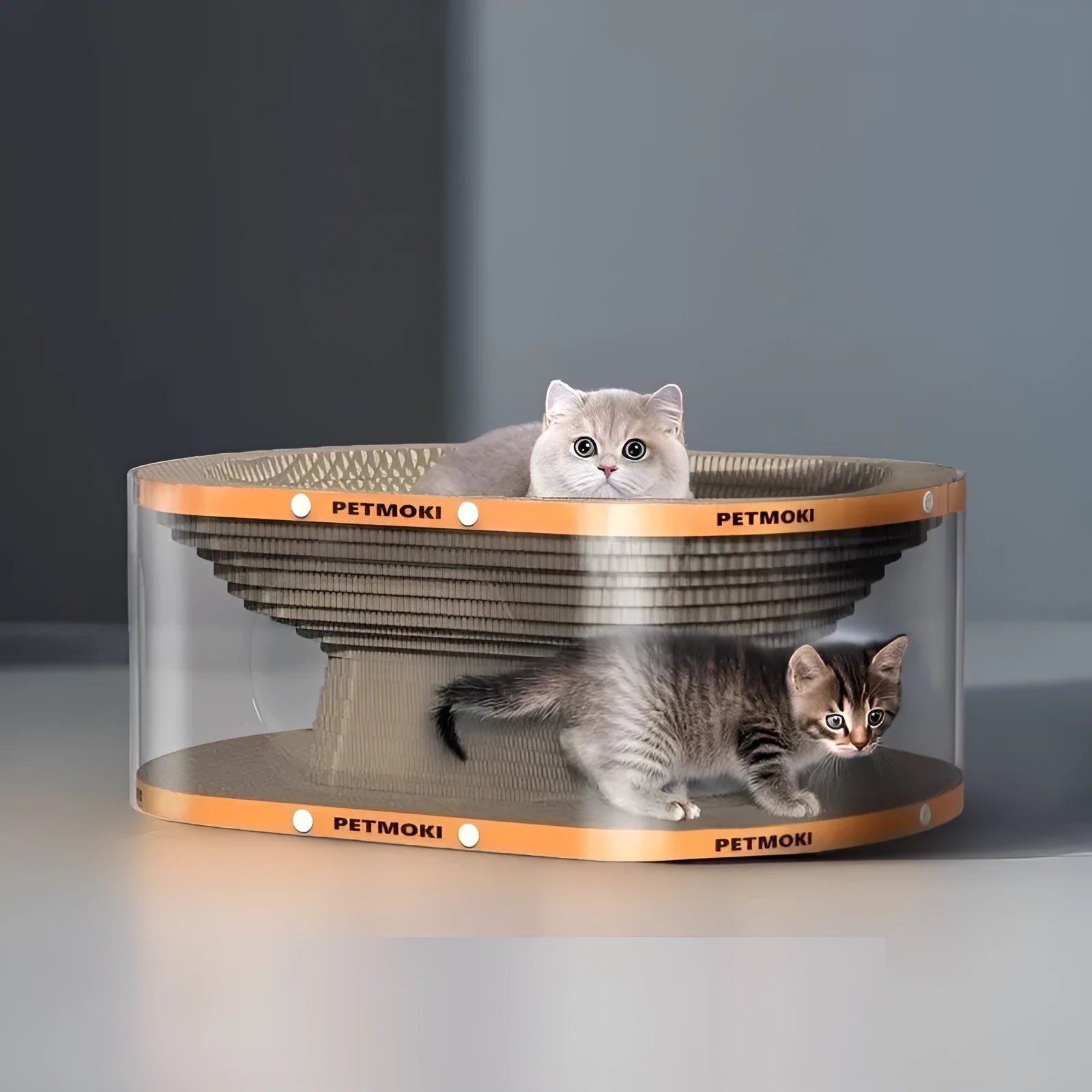 White transparent cat scratch board and nest tunnel toy made from PVC and corrugated board