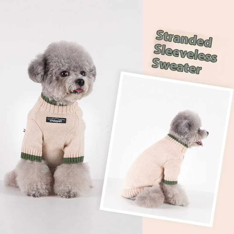 British style woollen dog sweater with contrast colour trim on a dog, showing two-leg design.