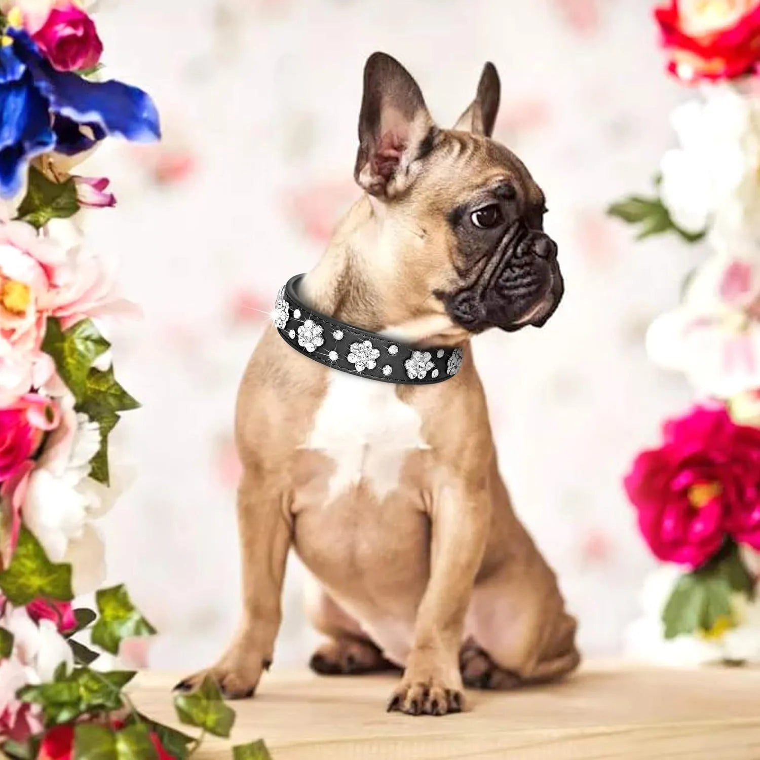 Soft black PU leather dog collar with a sparkling rhinestone flower pattern and metal adjustment buckle.