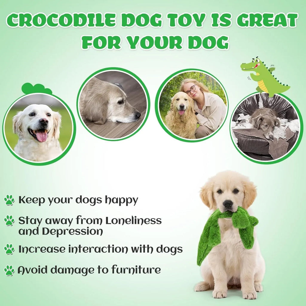 Green crocodile-shaped plush dog toy with no stuffing, squeaker in head and crinkle paper in tail