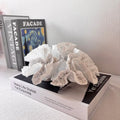 OffWhite Nordic artificial coral ornament made from resin and plastic for modern home decor