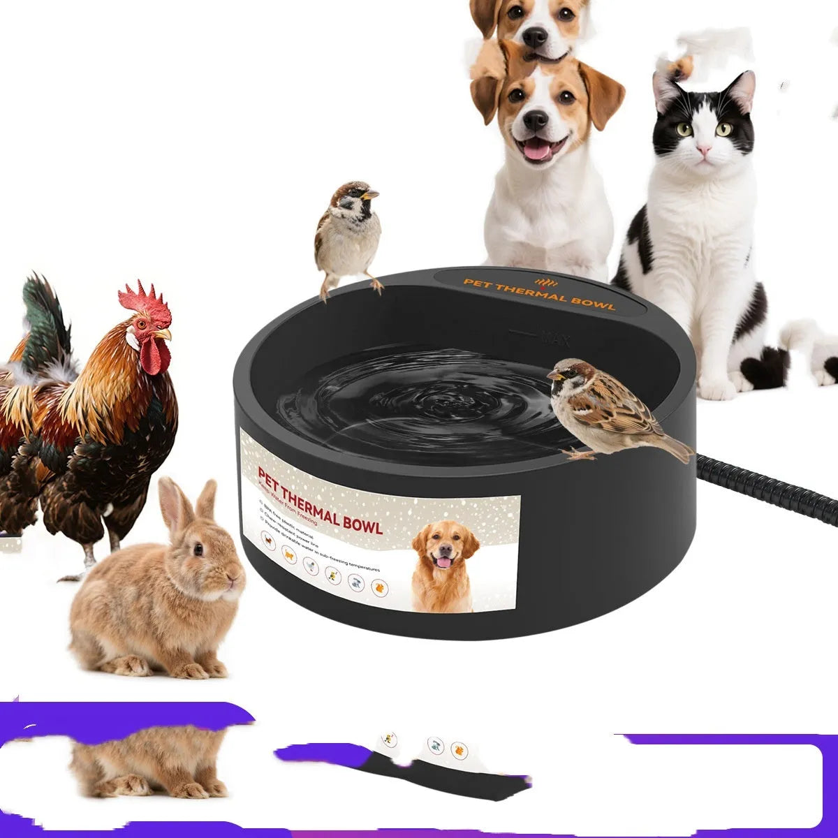 Black ABS plastic pet heating bowl with constant temperature control and 2.2L capacity