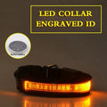 Pet glow collar with radium carved lettering in PP material, available in multiple colours and sizes