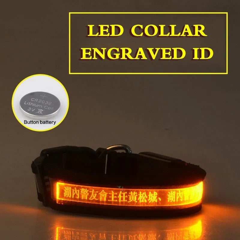 Pet glow collar with radium carved lettering in PP material, available in multiple colours and sizes