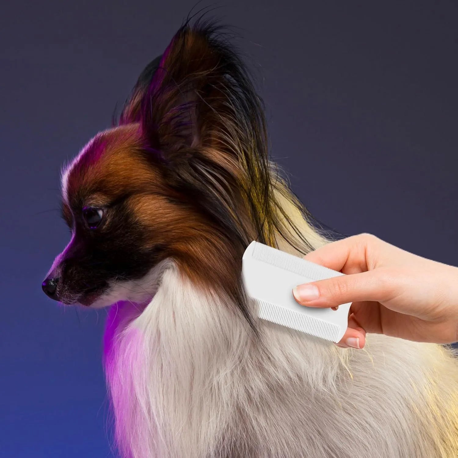 Double-sided plastic flea comb for dogs and cats with dense teeth for removing fleas and cleaning tear stains.
