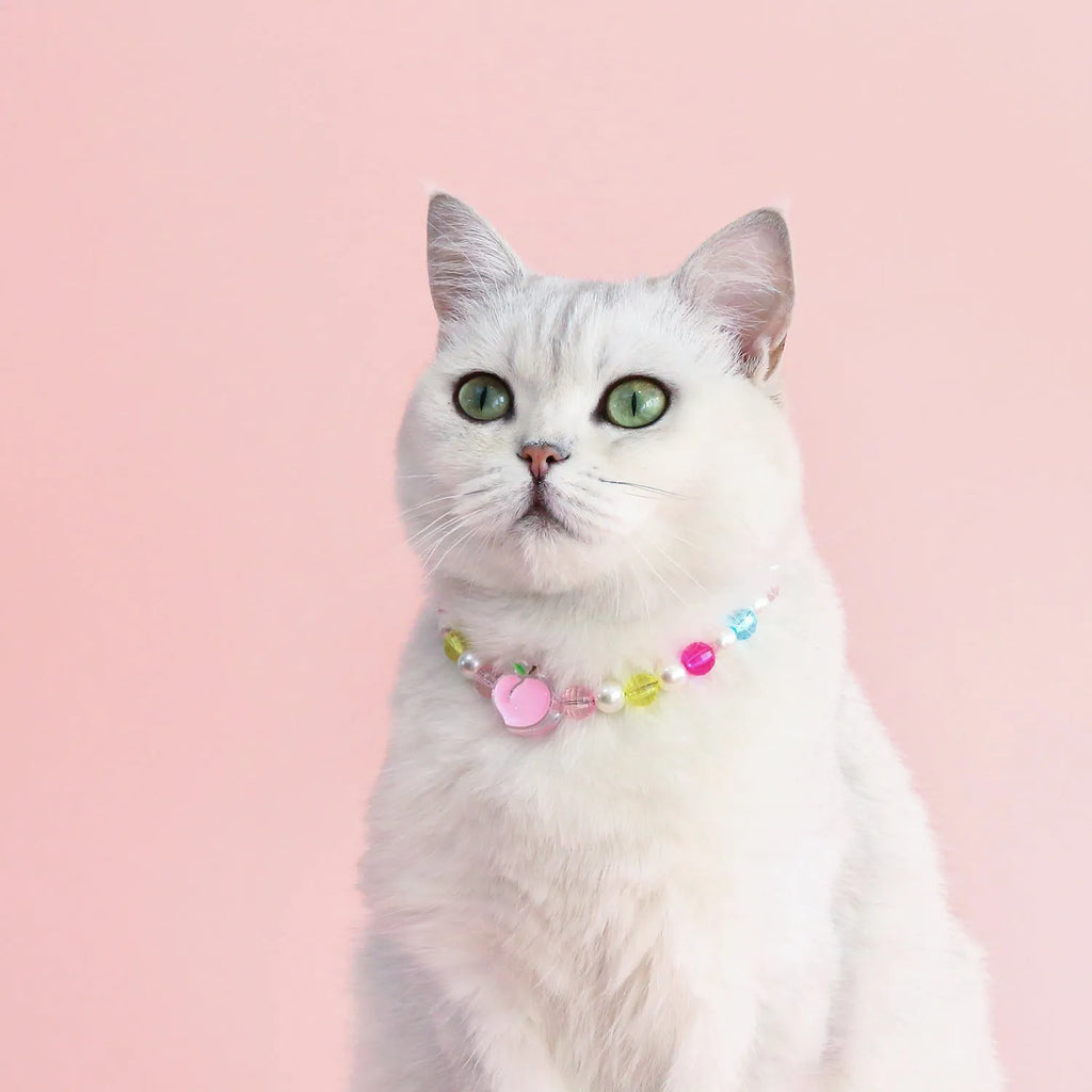Colourful plastic pearl bead cat collar with a small flower charm on a white background.